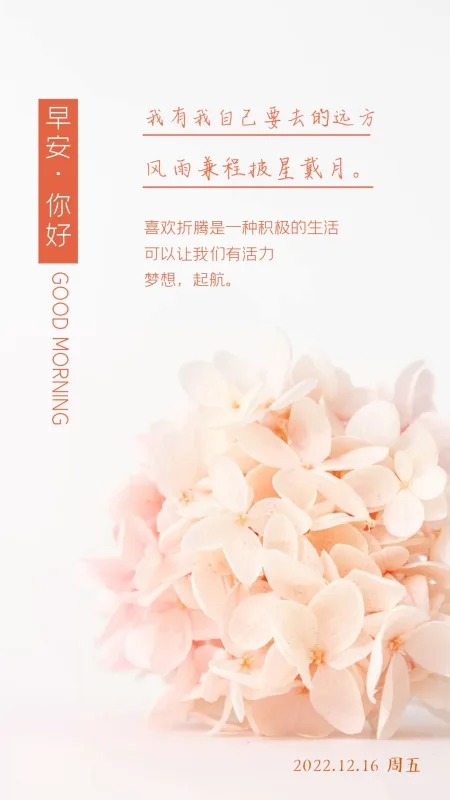 早安文案图片：生活没有一帆风顺的，只有披荆斩棘才能路路顺！插图22